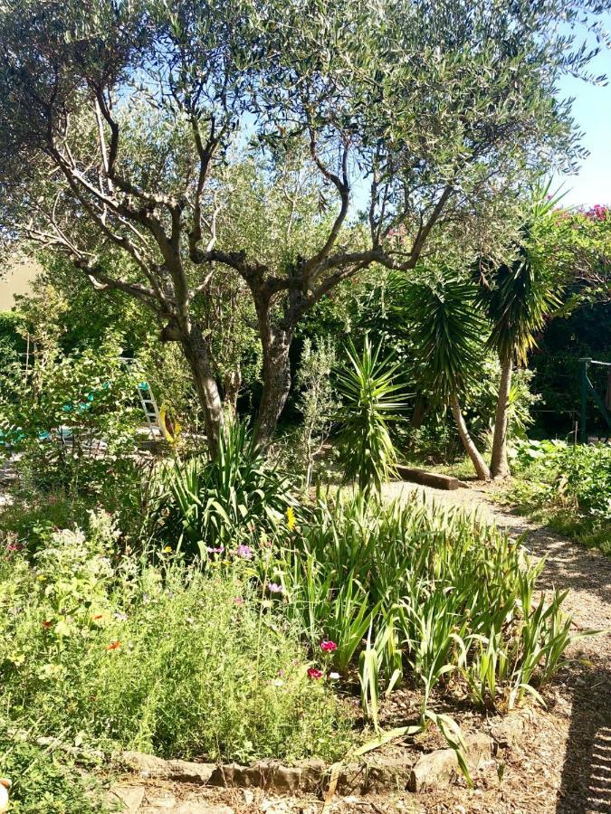 Les Pinsons Apartment La Ciotat Ngoại thất bức ảnh